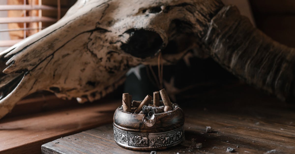 3 day old steak turning brown from the inside out - Old ashtray and cow skull on dusty wooden table