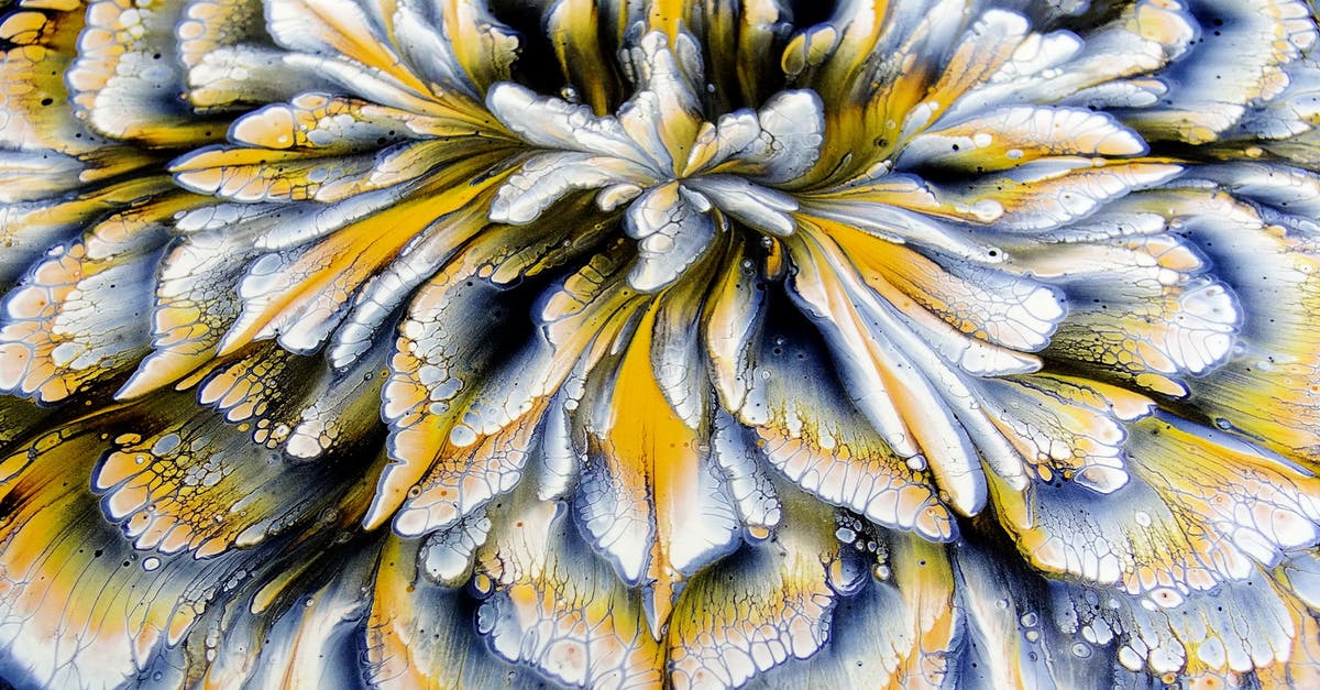 A definitive method of dicing an onion - Yellow and White Flower in Close Up Photography