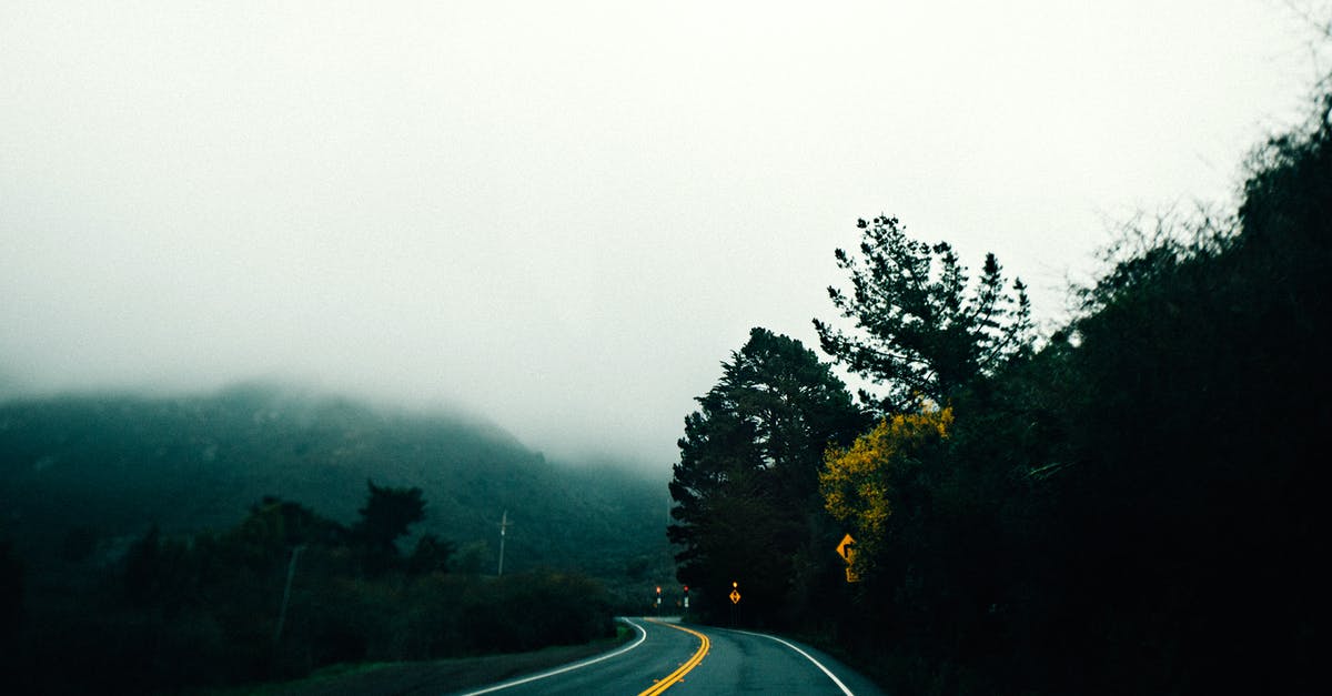 A good way to smoke Picanha? - Empty asphalt roadway running amidst lush green trees in grassy highlands covered with dense fog