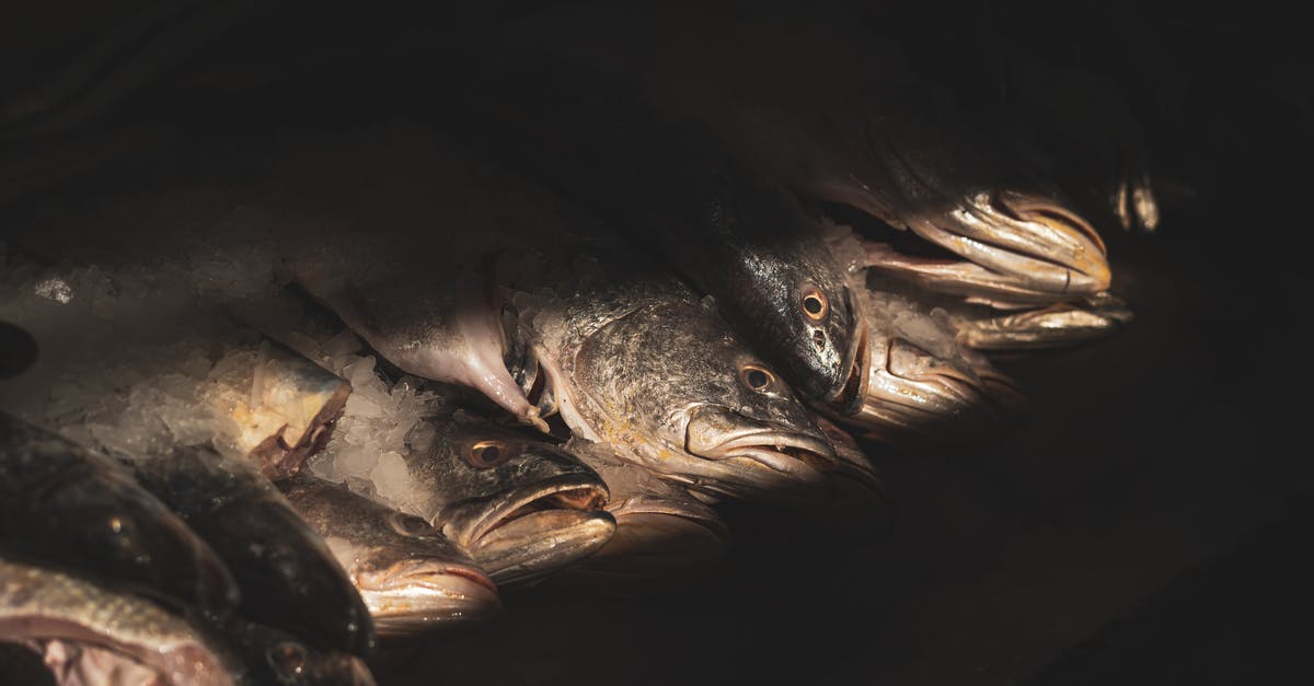 A question of Fishmonger basics and fish processing and handling? - Sunlit Stacked Dead Fish in Darkness