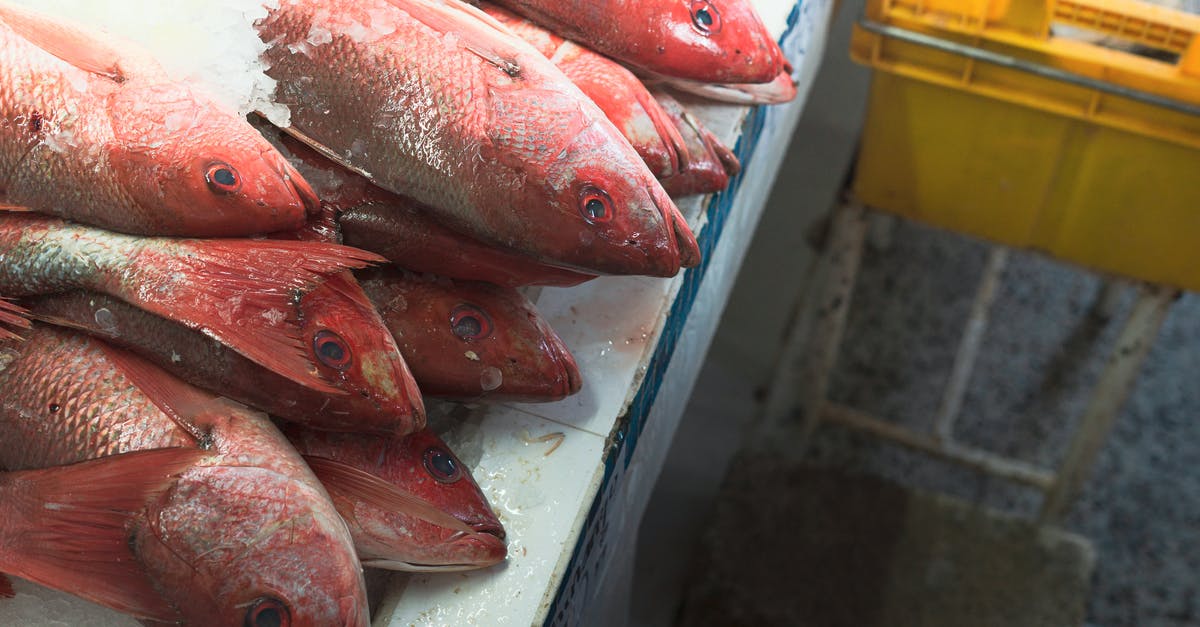 A question of Fishmonger basics and fish processing and handling? - Close up on Frozen Fish on Counter