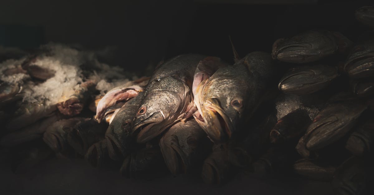 A question of Fishmonger basics and fish processing and handling? - Close up on Stacked Dead Fish