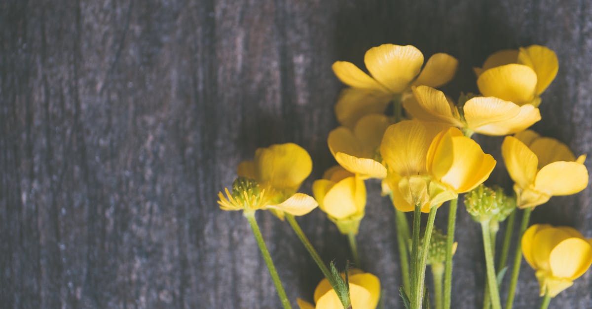 A thinner béarnaise? - Yellow Buttercup Flowers on Grey Surface