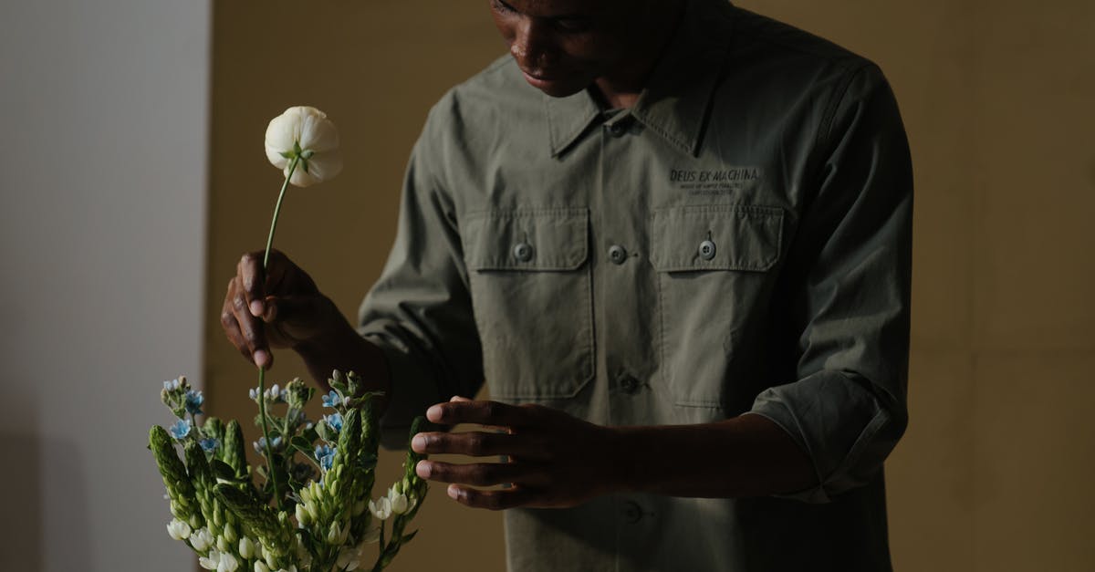 A thinner béarnaise? - Man in Gray Dress Shirt Holding White Flower