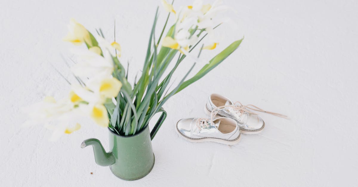 Achieving 'glossy', ultra smooth pudding texture - Flower bouquet in pitcher near glossy sneakers on white background