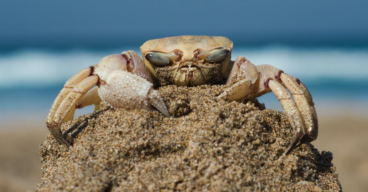 Acrid taste on King Crab Legs - Brown Crab on White Sand
