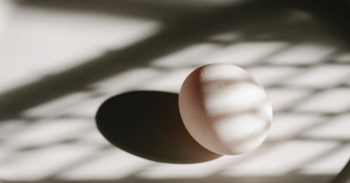 Adding raw chicken to a meal that is being reheated - Composition of white natural chicken egg placed on light round plate in sun shadows in kitchen