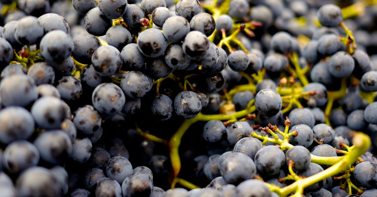 Alcohol-optional desserts? - Selective Focus Photo of Blueberries