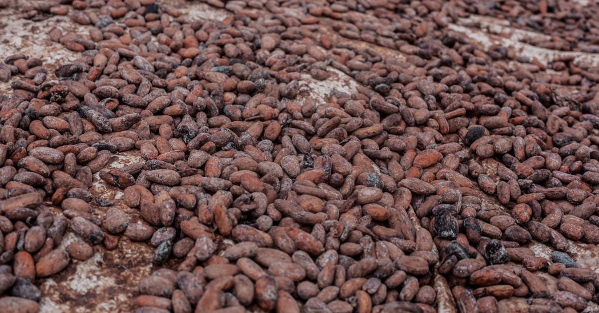 Almond pound cakes erupting - Brown Coffee Beans on Brown Soil