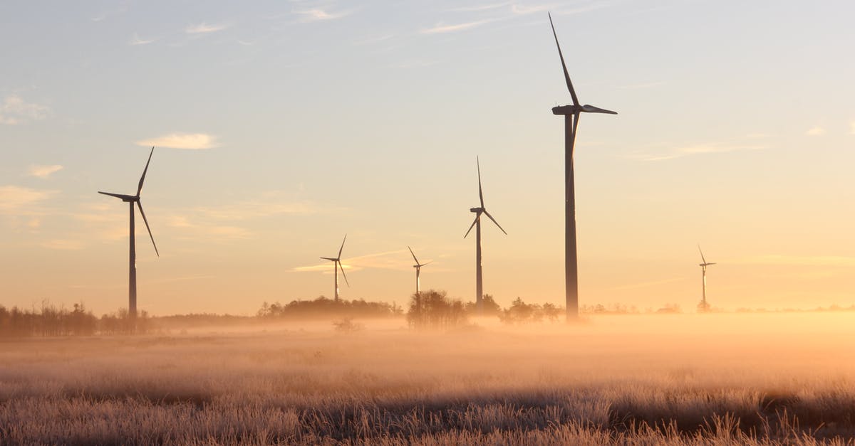 Alternative for tartar sauce? - Photo Of Windmills During Dawn 