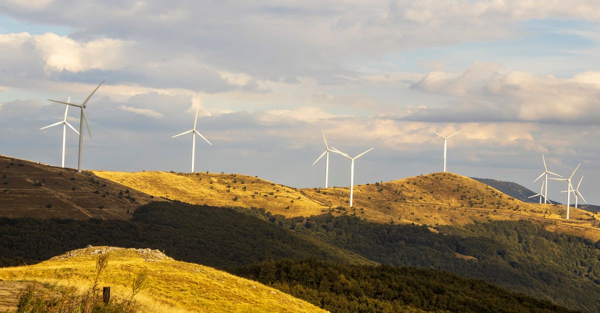 Alternative to arrowroot - White Wind Turbines on Green Grass Field Under White Clouds and Blue Sky