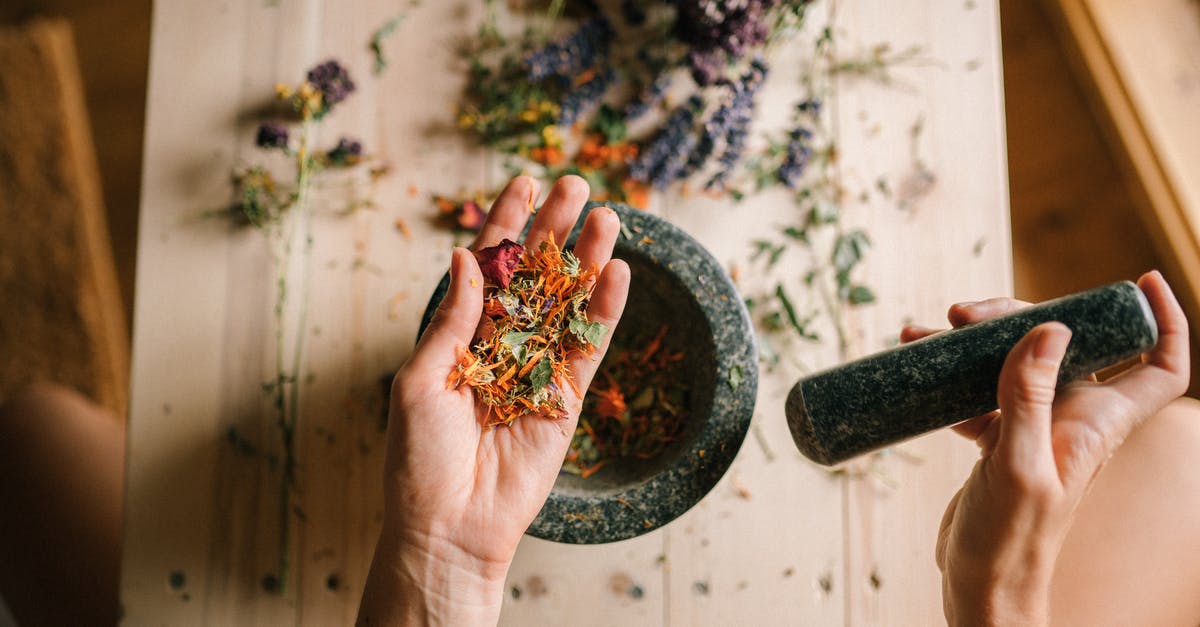 Alternative to arrowroot - Person Holding Black and Pink Flower Petals