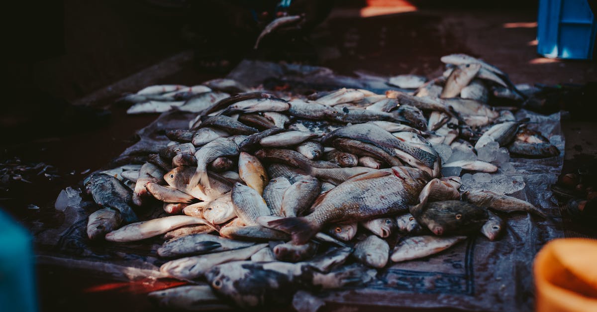 Alternative to fish stock - Pile of Fish