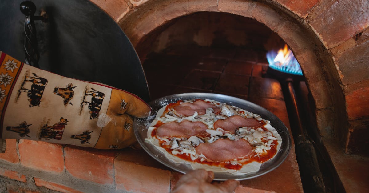 Alternative to Wisconsin Brick Cheese - Hand of a Person Placing Pizza on Aluminum Plate in Oven