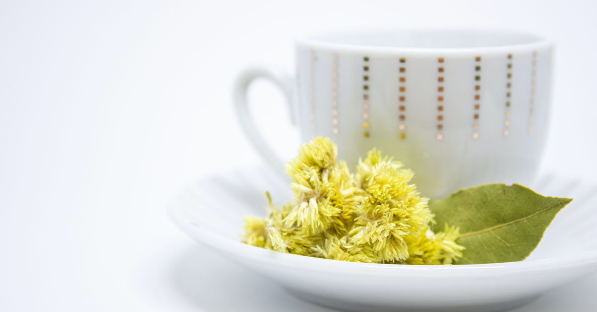 Alternatives to coffee - White Ceramic Cup on a Saucer  