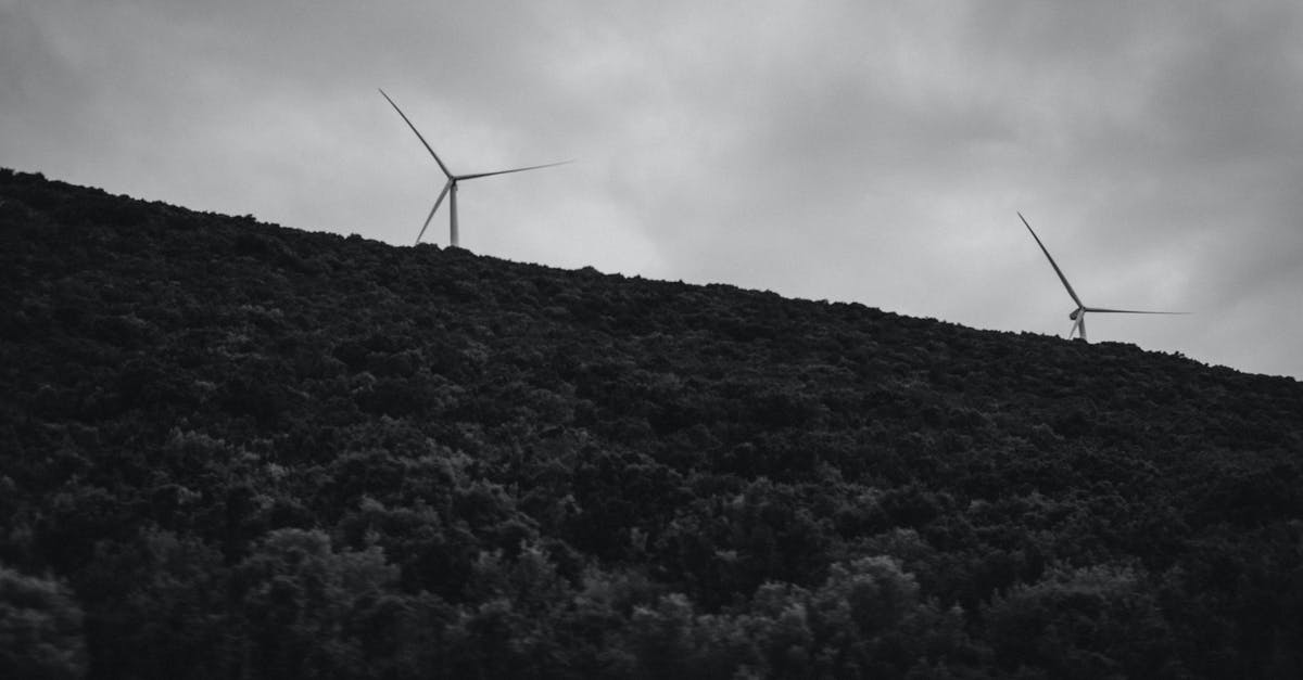 Alternatives to halloumi? - Wind Turbines on Hill Grayscale Photo