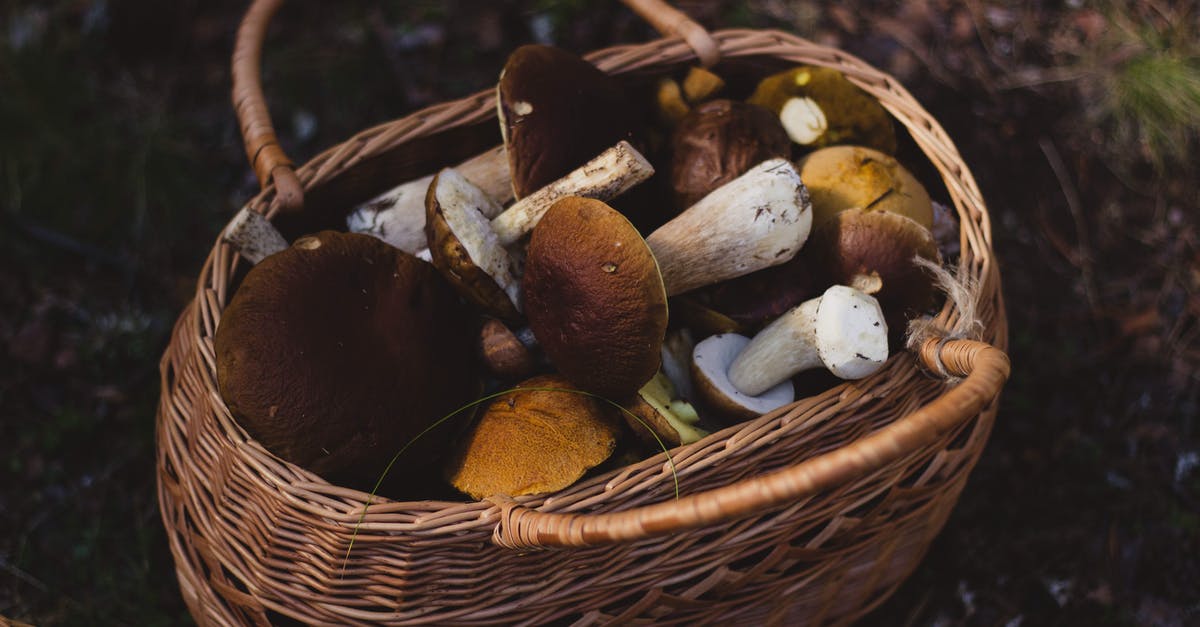 Am I cooking mushrooms wrong? - Brown Wooven Basket