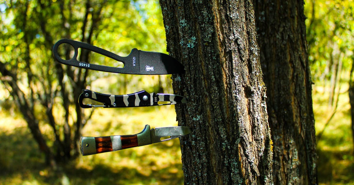 Am I unwittingly damaging my knives with amateur sharpening? - Knives on the Tree Trunk
