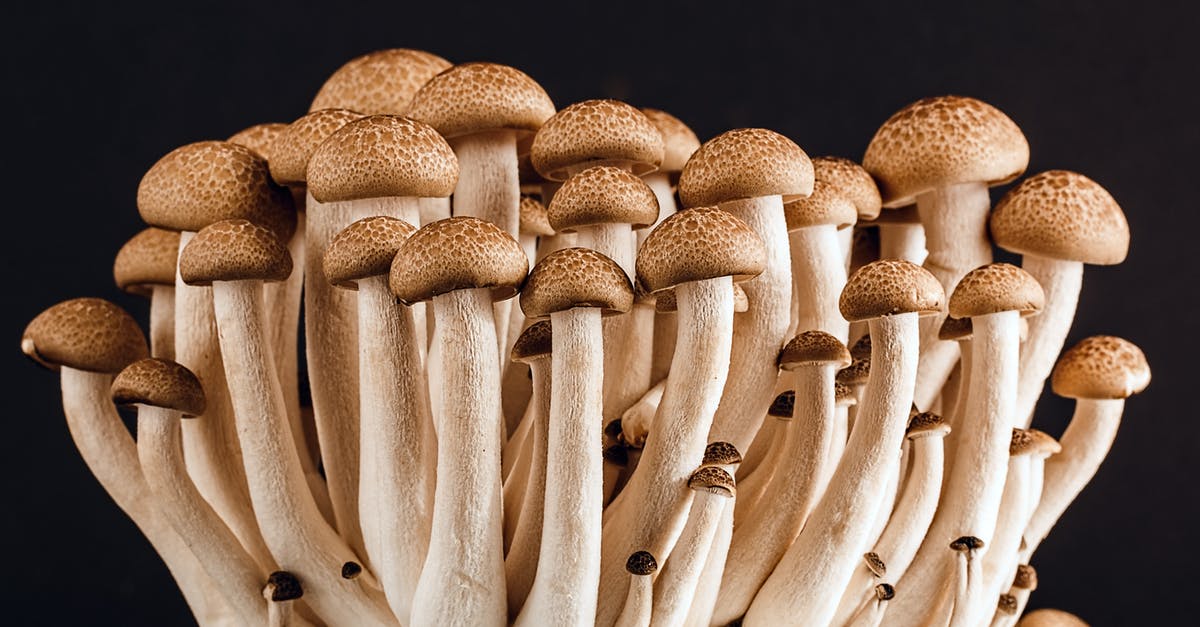 Are all these ingredients edible? - Brown Mushroom