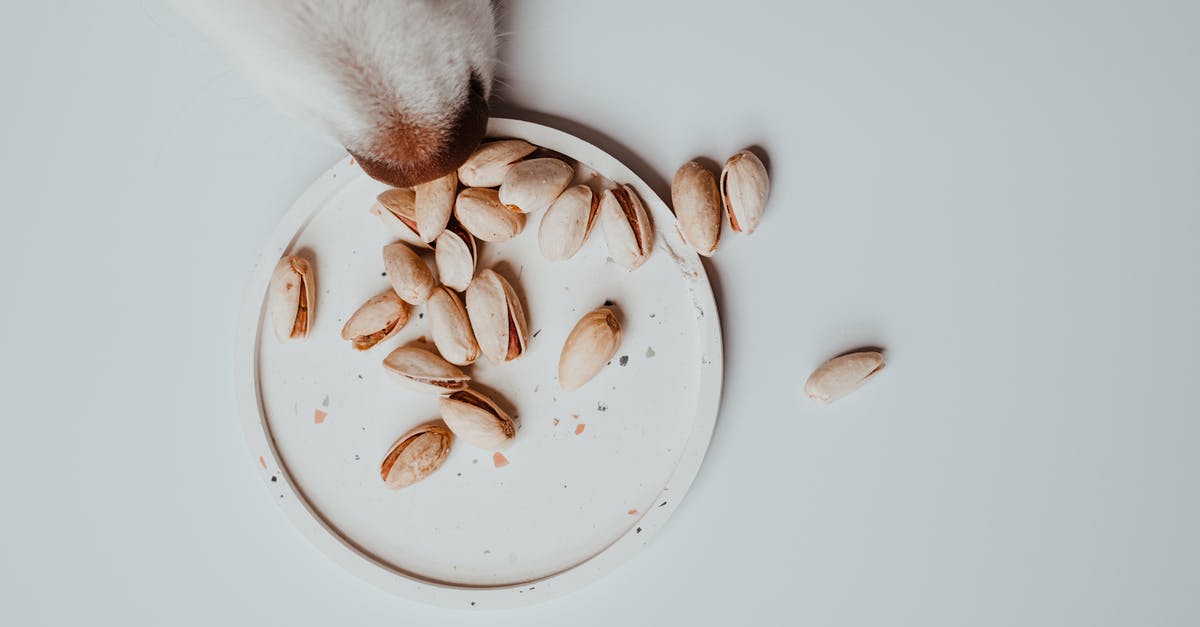 Are bunya-bunya nuts safe to eat if the shells are moldy? - A Dog Smelling the Pistachios