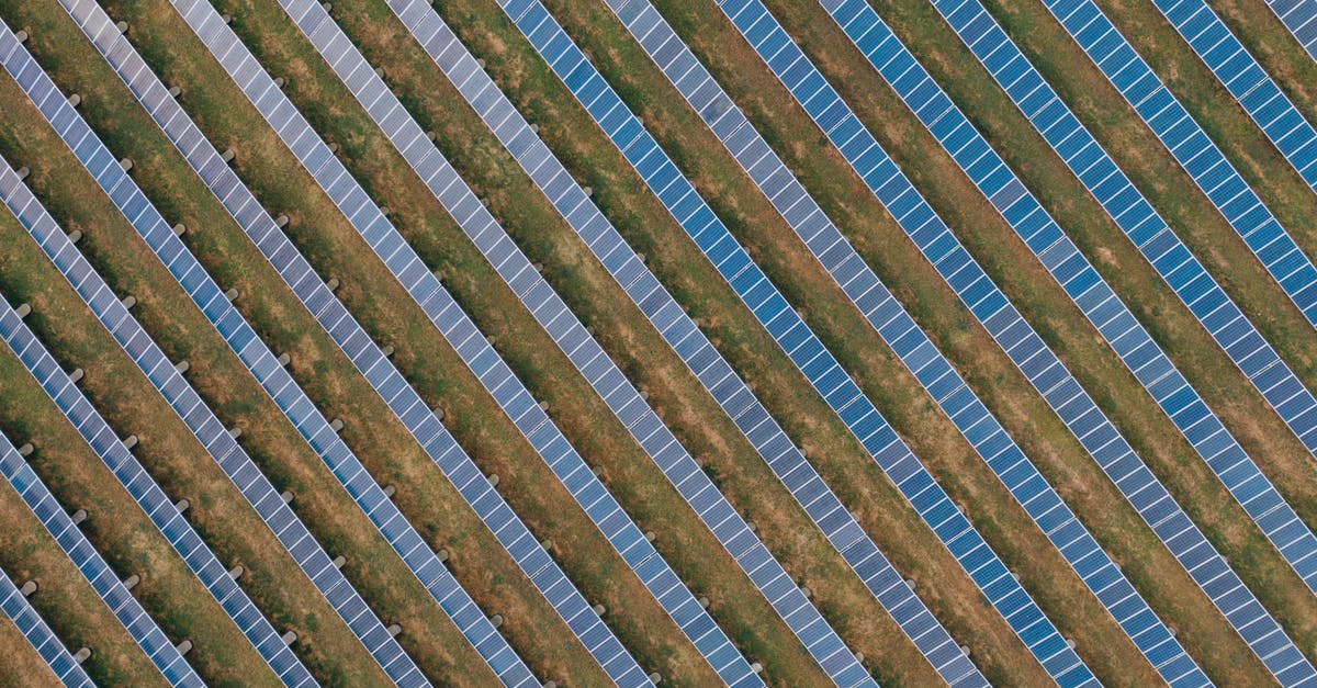 Are cockroaches a usable source of protein? - Textured background of solar panels in countryside field