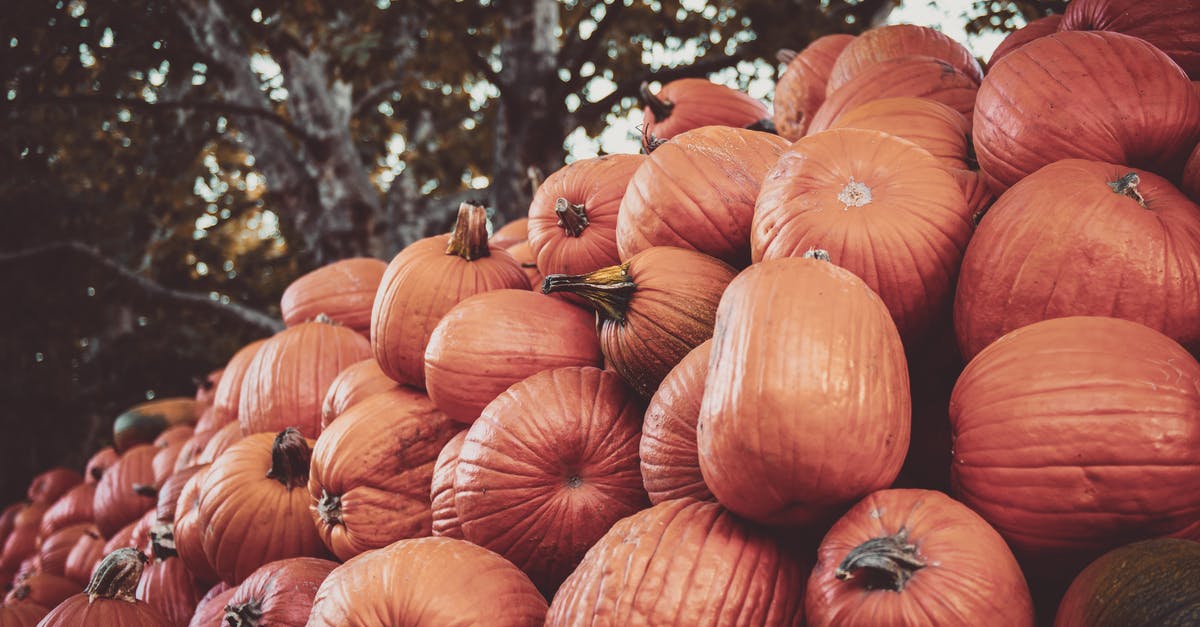 Are gourd leaves edible? - Photo of Pumpkins