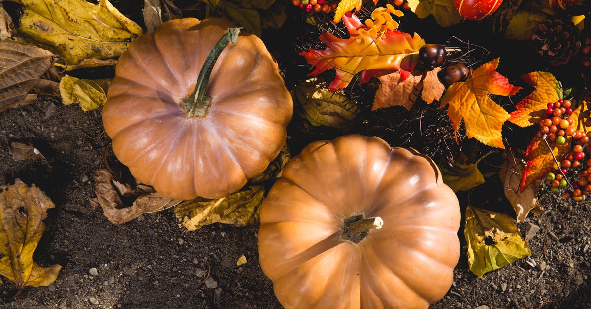 Are gourd leaves edible? - Two Pumpkins on Ground
