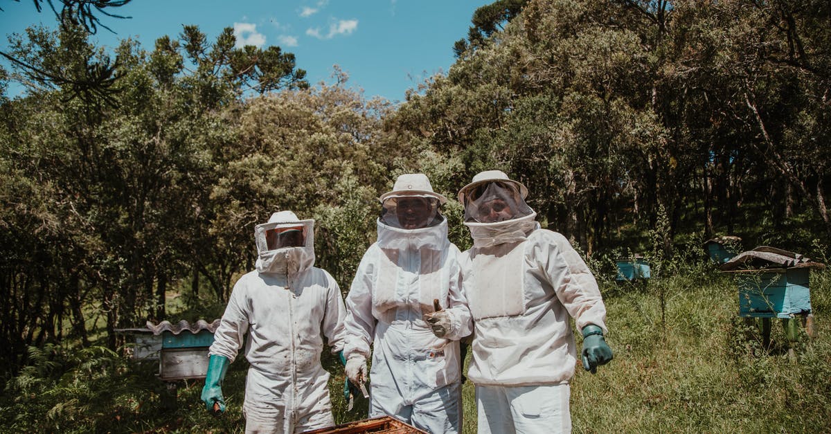 Are insects bought as pet food safe for human consumption? - Three People in White Suit