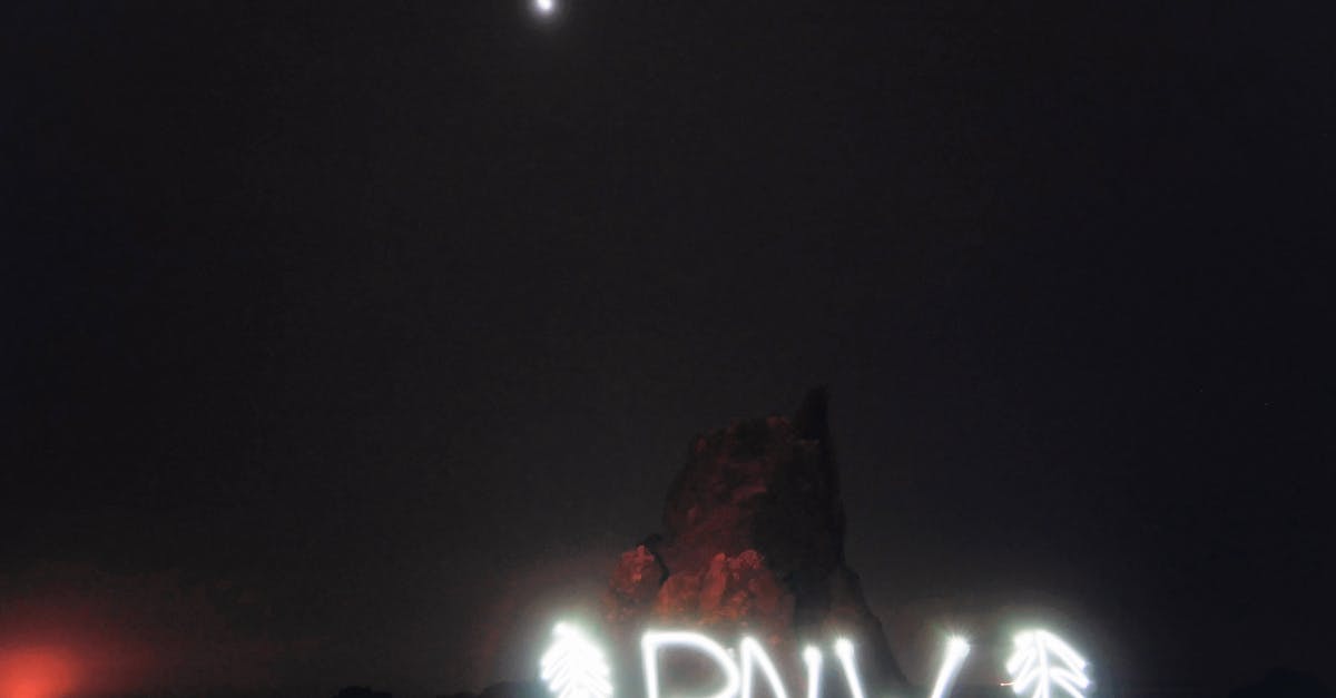 Are mung beans grown in Japan or North America? - Abbreviation PNW between fir shaped decorations illuminating with white neon lights and located against rocks at night under dark sky and bright moon Pacific Northwest traveling