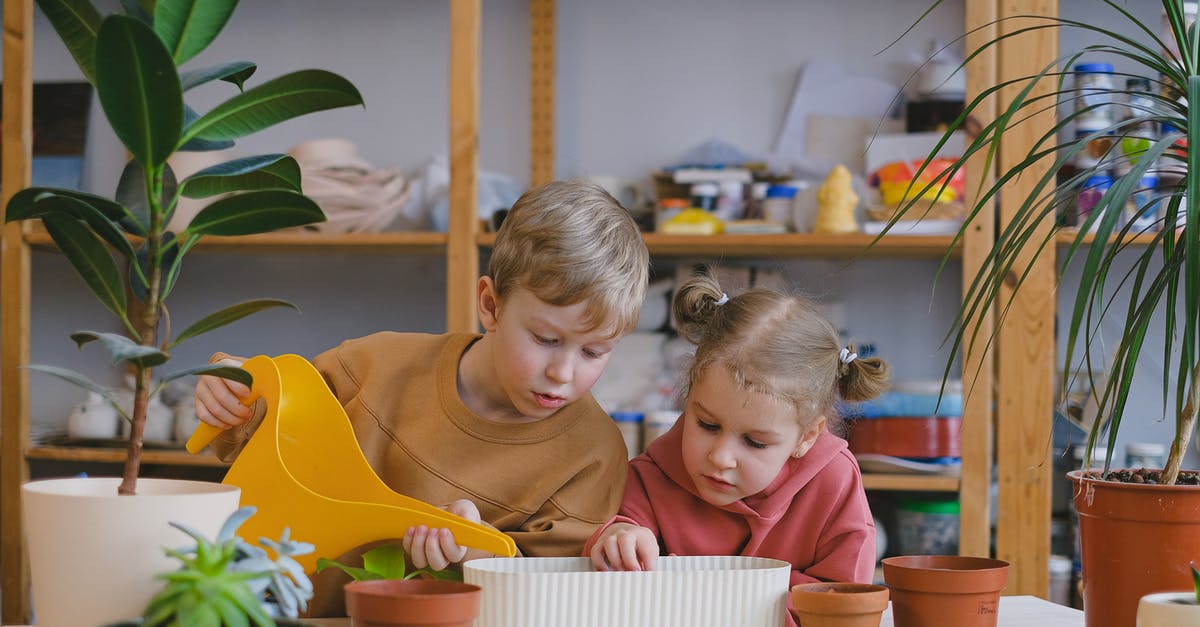 Are my pots oven-safe? - Free stock photo of boy, child, children