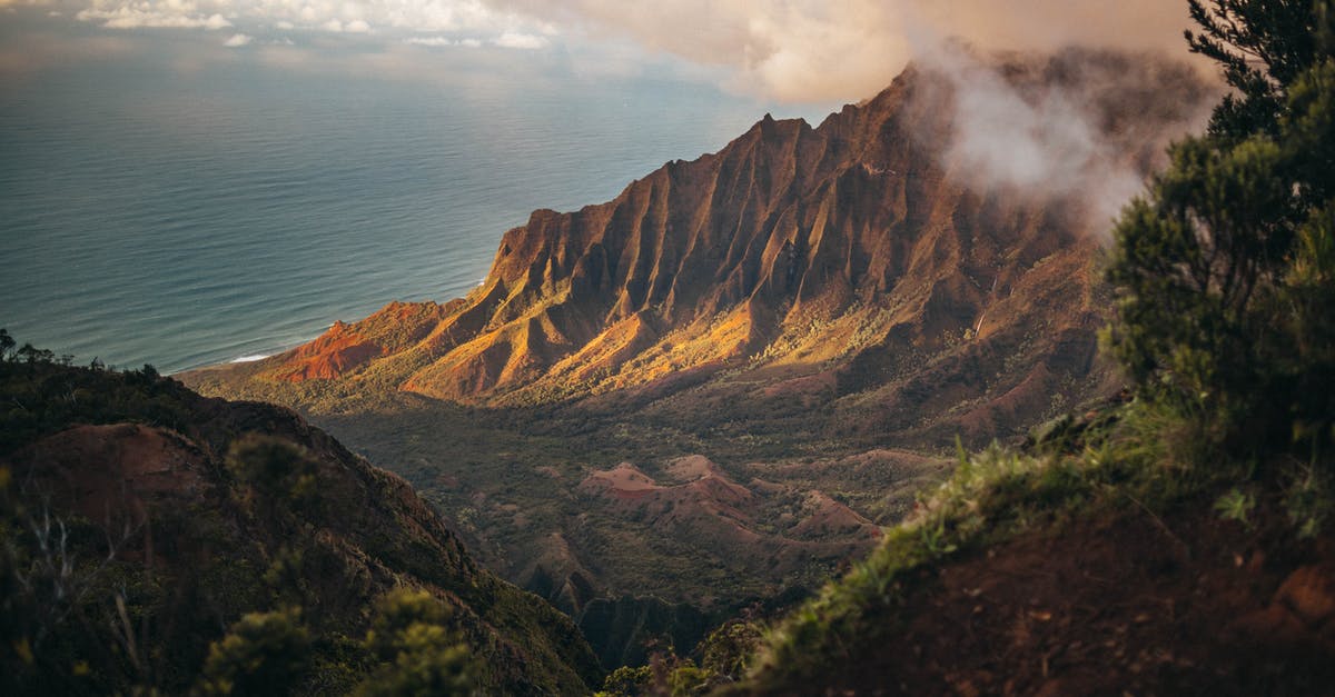 are the larger snails in Hawaii edible? - Brown Mountains