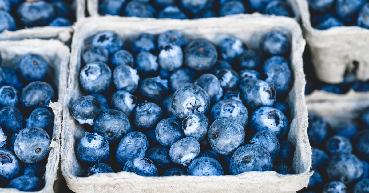 Are there blue foods out there? - Blueberry Fruit on Gray Container