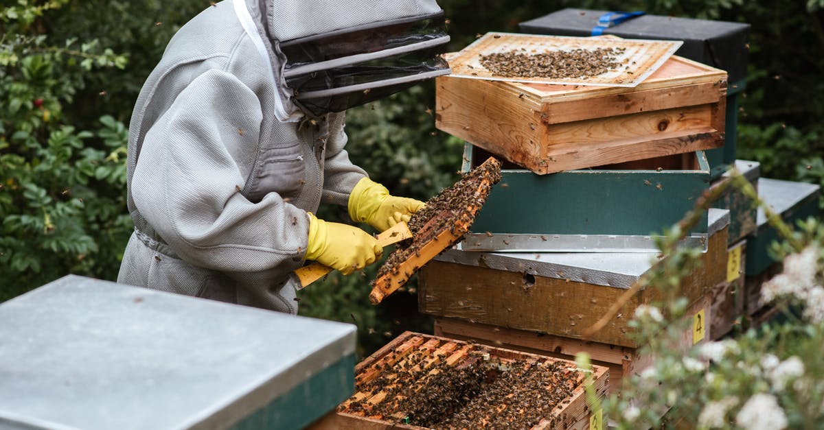 Are there food combinations that are dangerous? - Anonymous apiarist in uniform standing near beehive and holding honeycomb while collecting honey