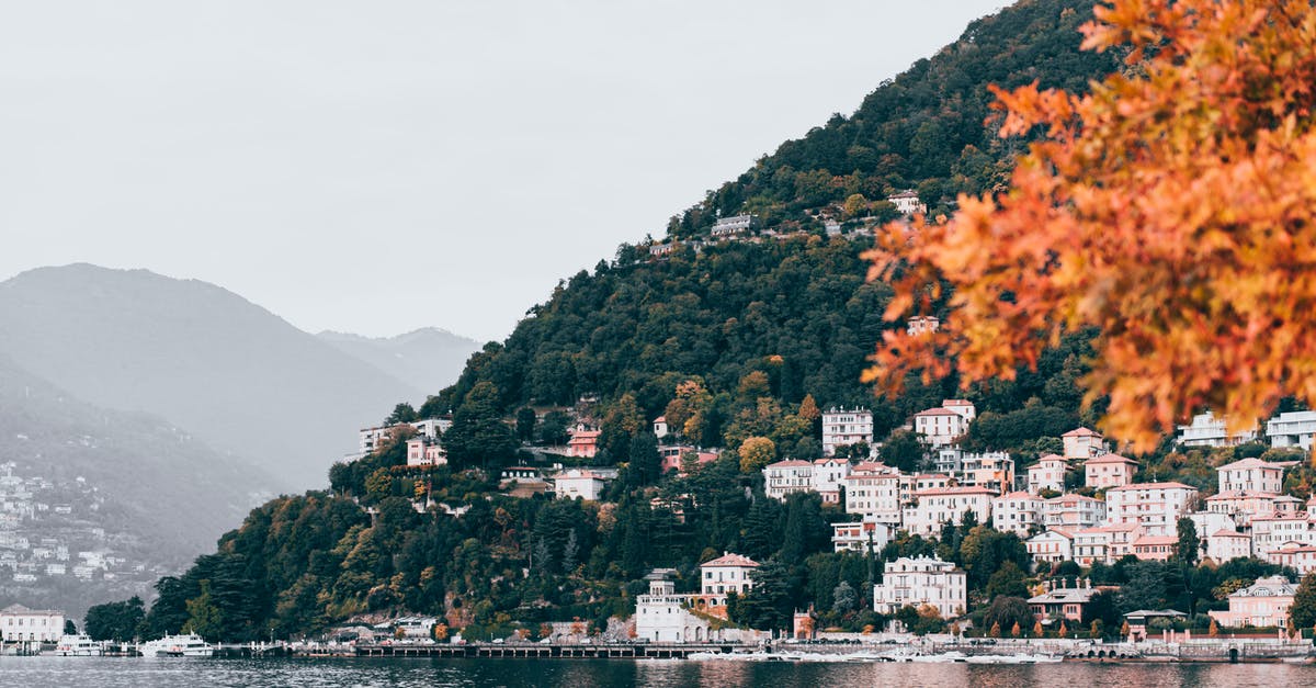 Are these Bay Leaves? - Houses Near Body of Water