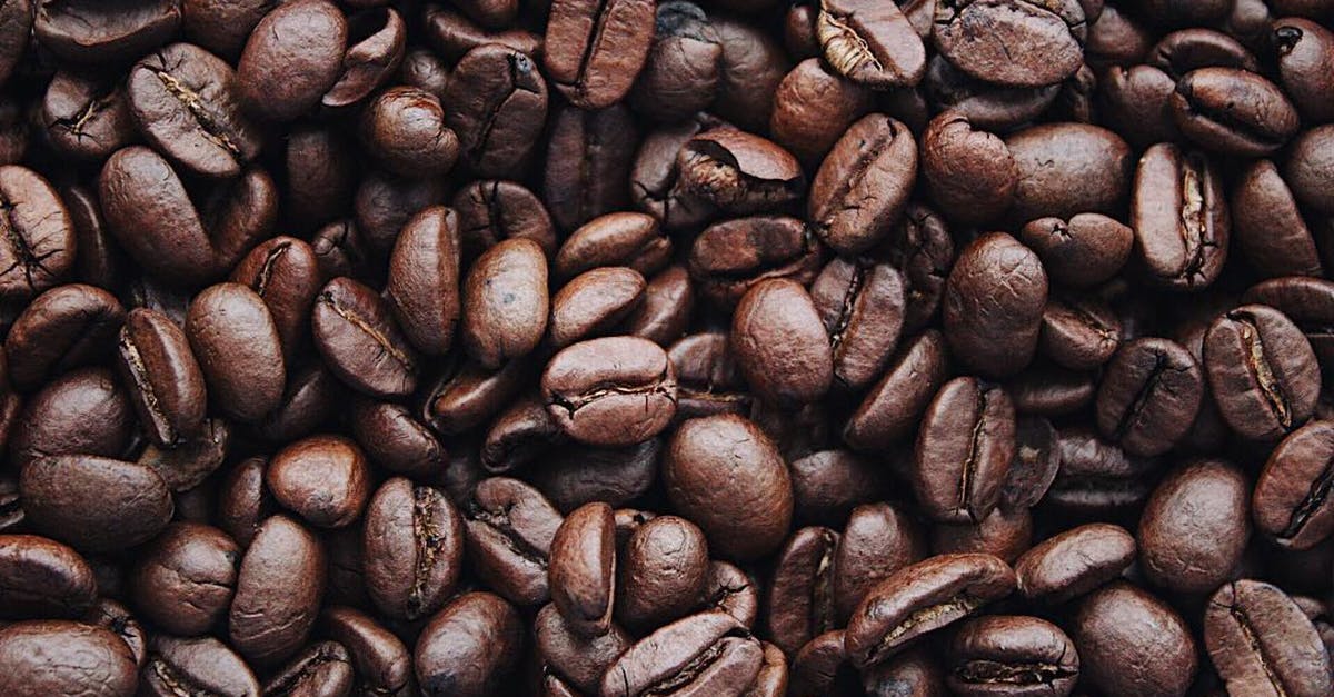 Are these coffee beans unroasted? - Coffee Beans