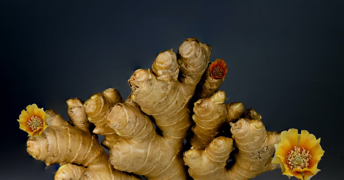 Are these parts of the ginger plant edible? - Ginger on Gray Surface