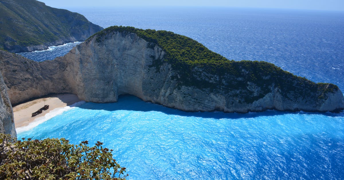 Are Turkish Bay Leaves "Normal" Bay leaves? - Green Island Near the Ocean during Daytime