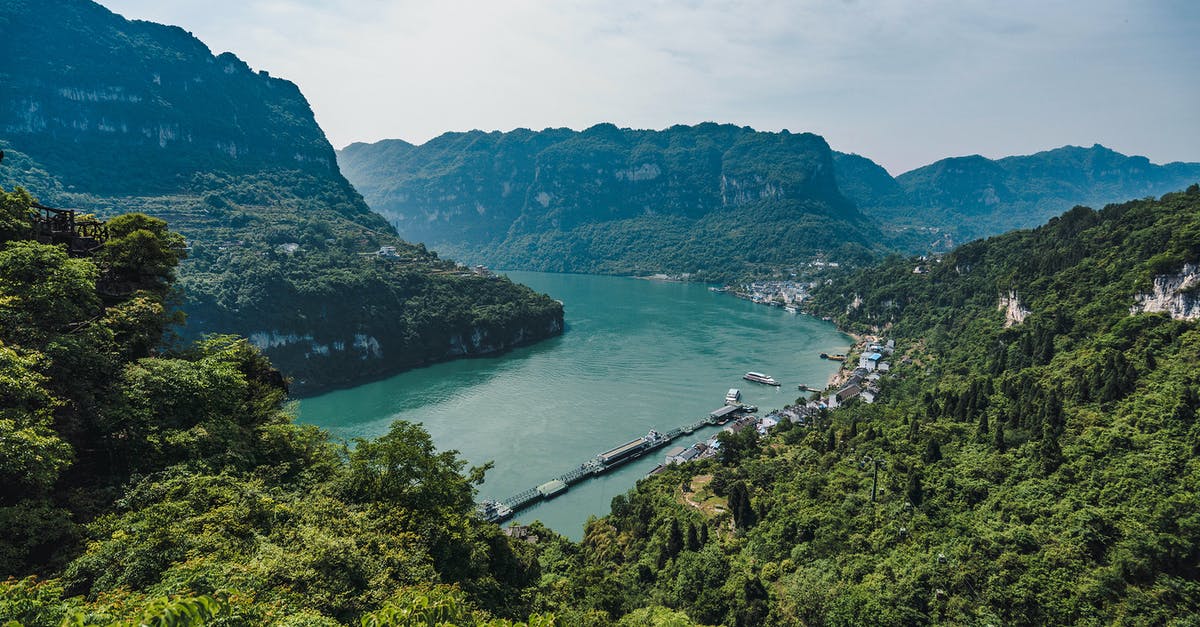 Are Turkish Bay Leaves "Normal" Bay leaves? - Photo of River Near Mountains Covered With Trees