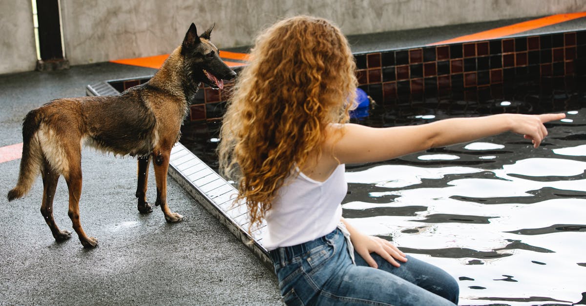 At what point is water considered "at a boil?" - Side view of anonymous woman with curly hair pointing with finger at pool against attentive dog outdoors