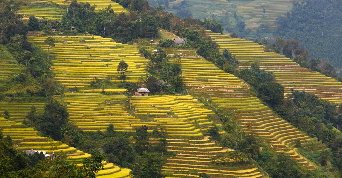 Attempting Tartine's basic country bread - Rice Terraces