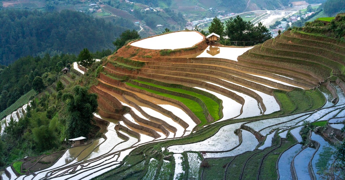 Attempting Tartine's basic country bread - Terraces With Water