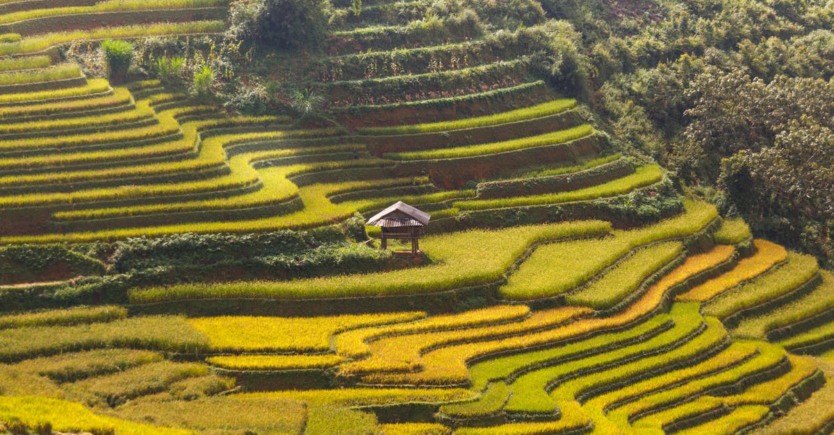 Attempting Tartine's basic country bread - Rice Terraces