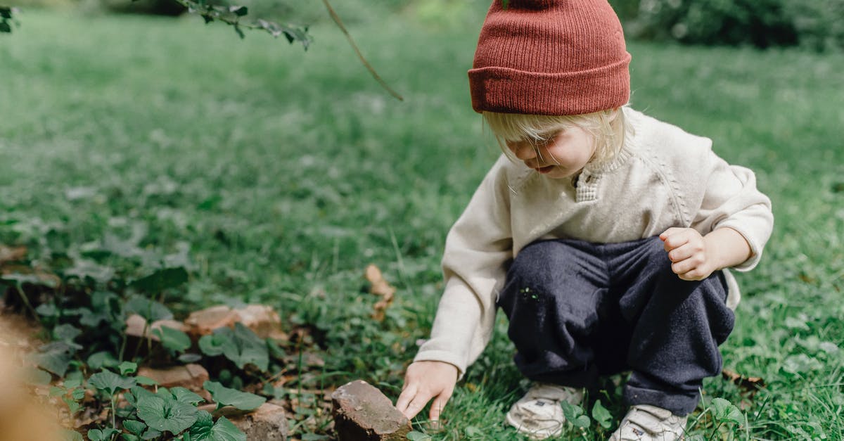 Backyard mint too grassy - Interested little boy exploring stone