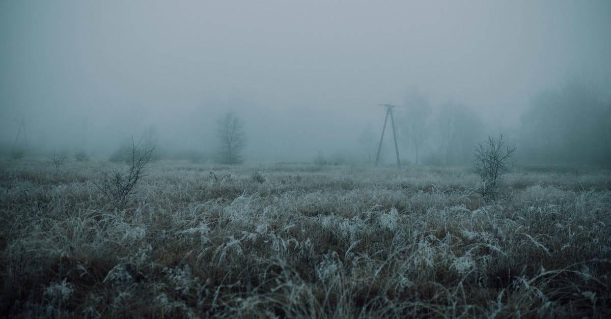 Balsamic vinegar became too thick. How to liquefy it? - Meadow with grass covered with hoarfrost in countryside in cold foggy gloomy morning