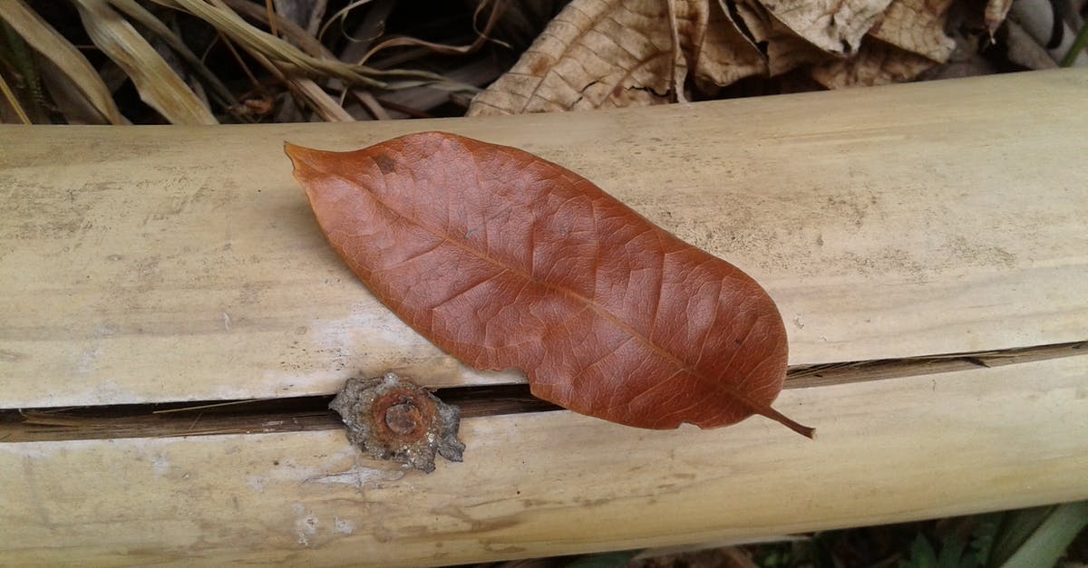 Bamboo Cutting board - Brown Leaf on Brown Bamboo
