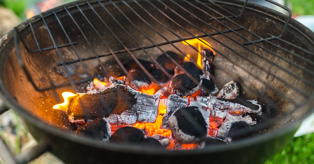 Barbecue on wood fire - Charcoal Is on Burning