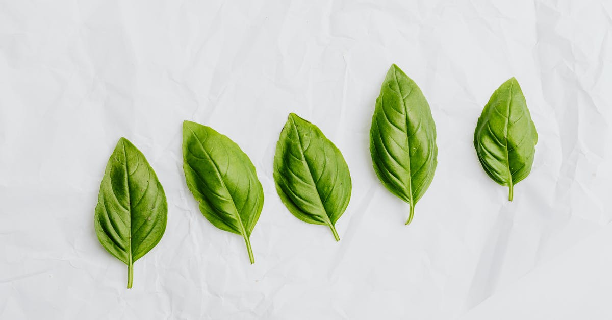 Basil lookalike that tastes like aniseed. - Green Leaves on White Surface