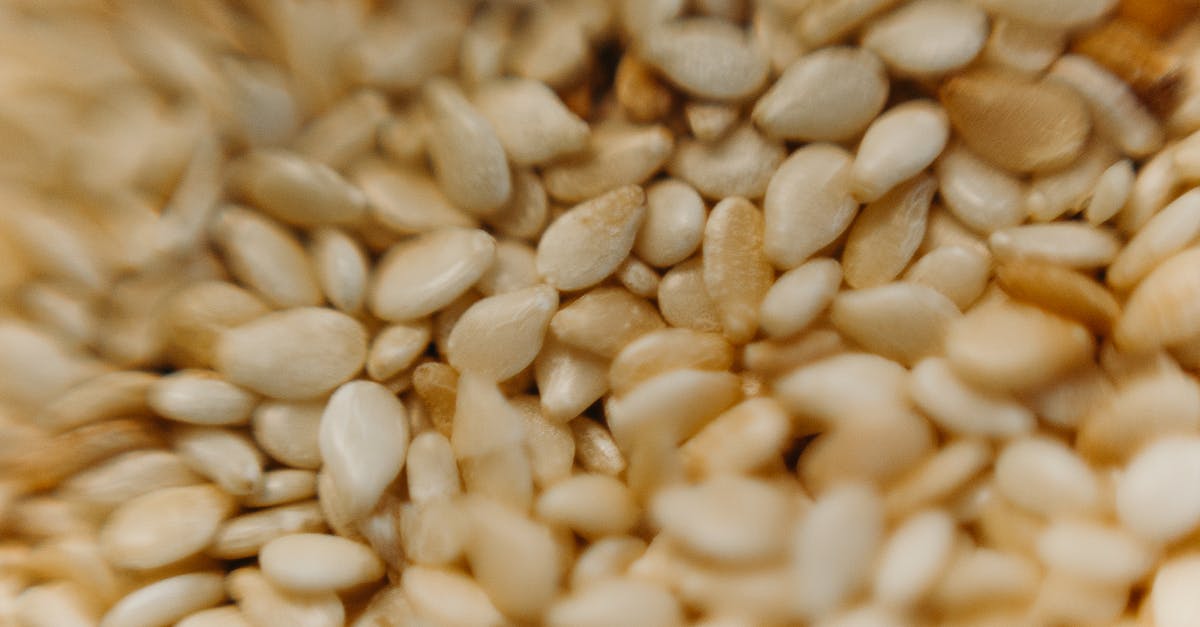 Batch Cooking Meatballs - Close-Up View Of Seeds