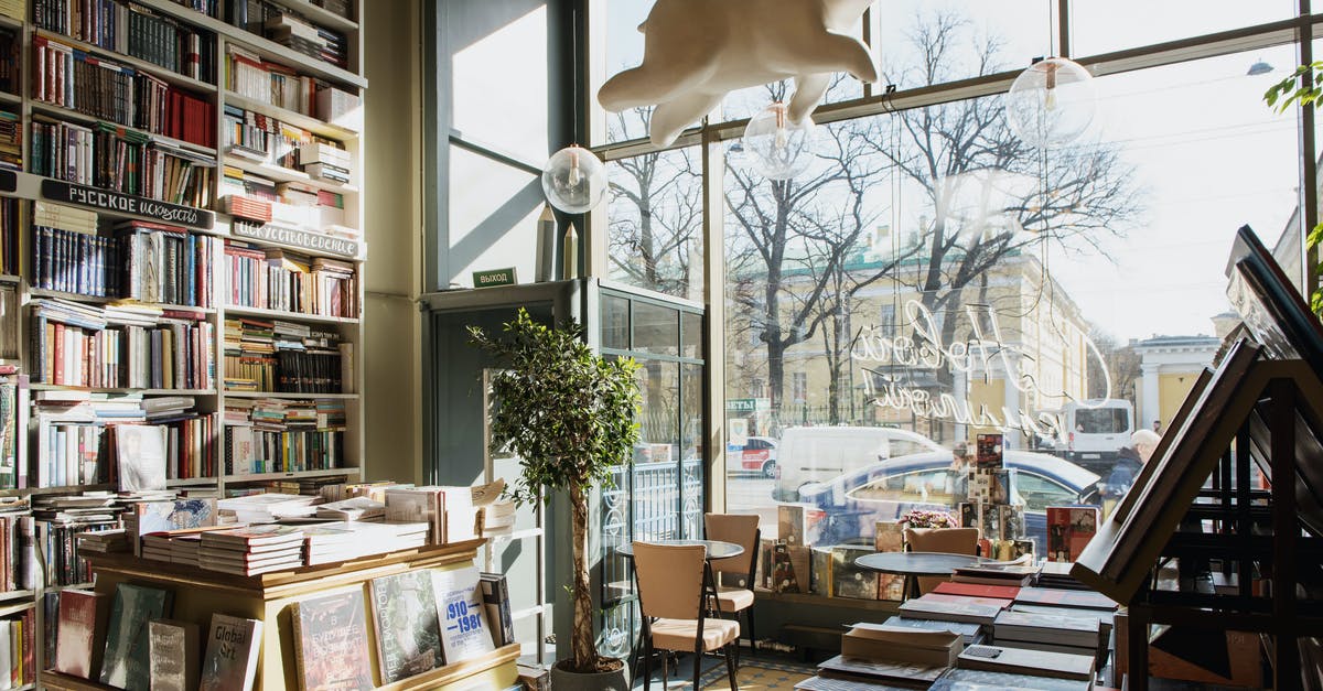 Bear in a crock pot - Modern style interior of bookstore in sunlight