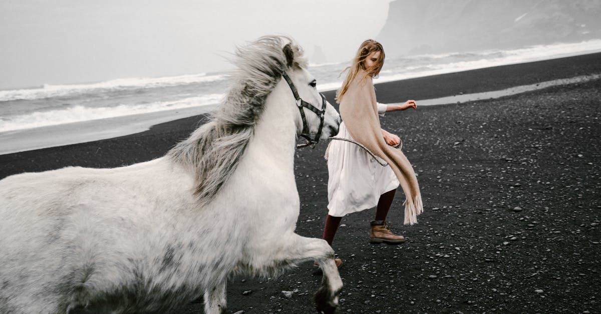 Beating egg whites cold vs. warm - Japanese cheesecake - Inspired teen girl leading horse on black sand beach